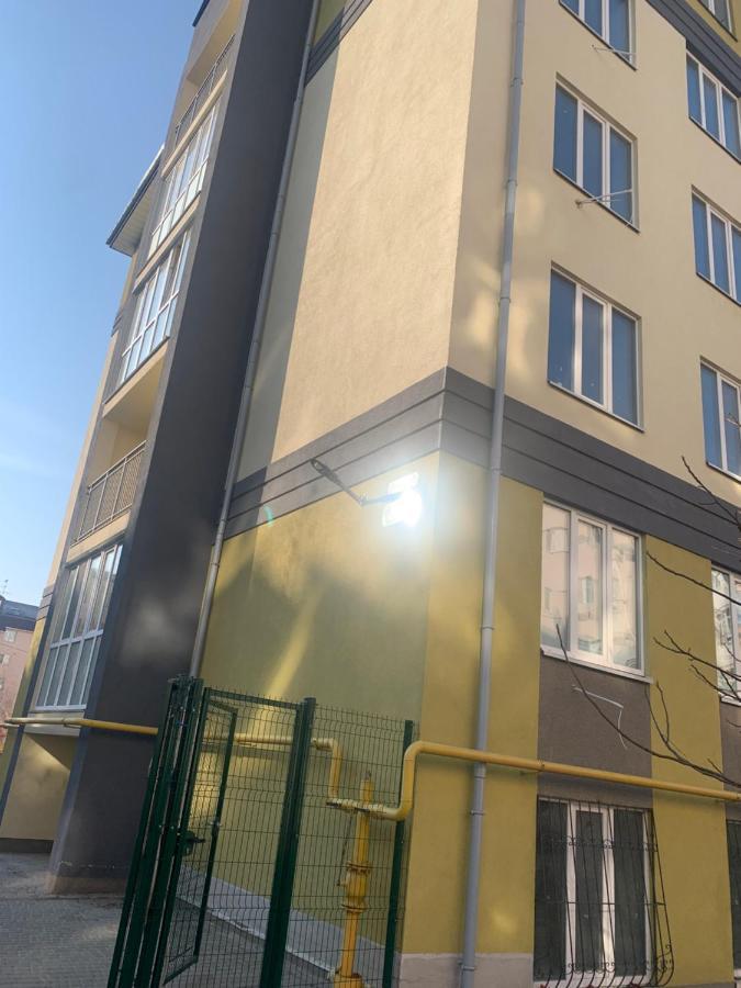 Samira1 Apartment Kiev Bagian luar foto